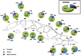 cuban dna|Cuba: Exploring the History of Admixture and the Genetic Basis of .